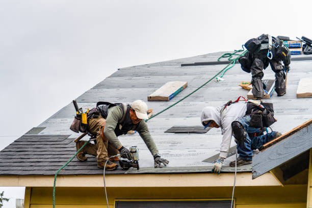 Professional Roofing technician working in Wallis, TX